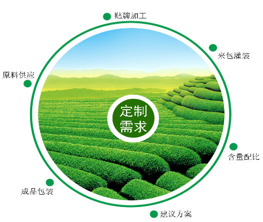 育苗配套整体解决方案