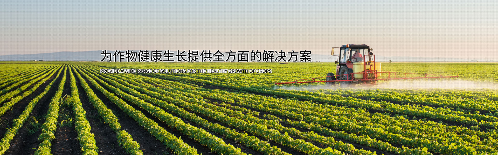 轮播2