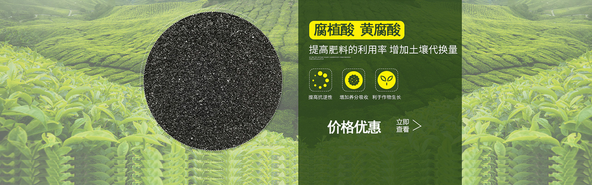 轮播1